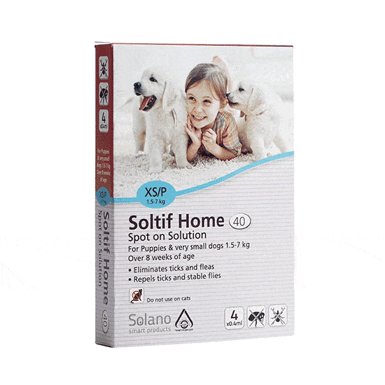 אמפולות נגד קרציות ופרעושים לכלב – Soltif Home XS