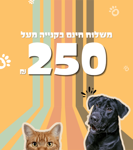 בית